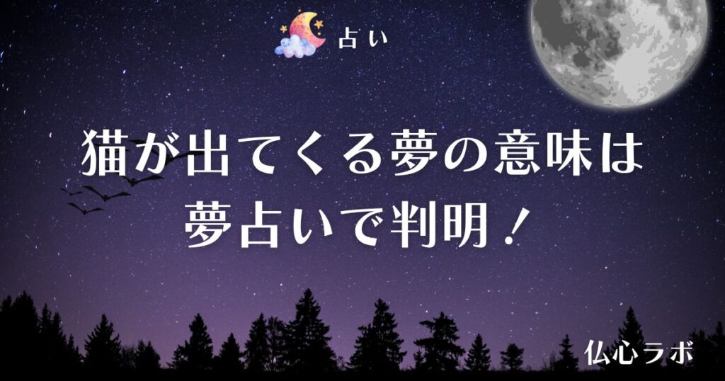 夢占い 猫 アイキャッチ