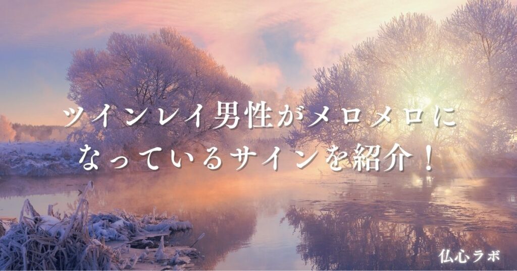 ツインレイ 男性 メロメロ アイキャッチ