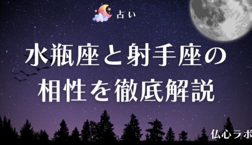 水瓶座と射手座の相性は合わない？恋愛・結婚・仕事の関係を徹底解説